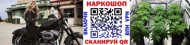 Сколько стоит Кувшиново КОКАИН А ПВП Галлюциногенные грибы Амфетамин Мефедрон Марихуана