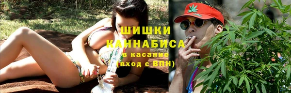 хмурый Магас