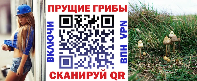 Псилоцибиновые грибы мухоморы  Кувшиново 